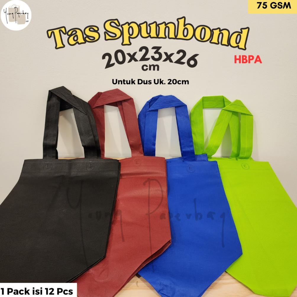 

My56 Tas Kain Spunbond Goodie Bag Hbpa Box 20 Uk. 20X23X26 (1 Lsn)