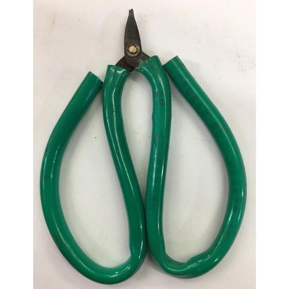 

Gunting kodok kecil AST