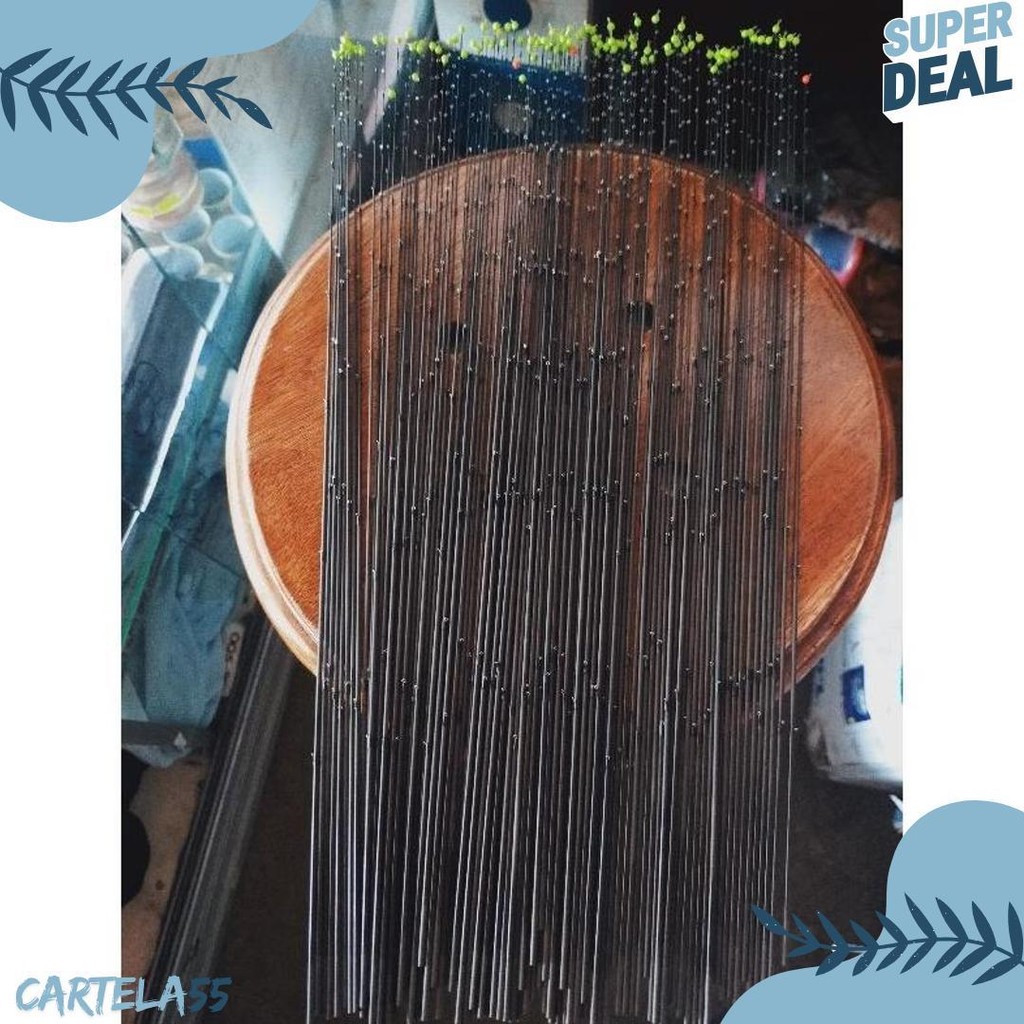 Entul Micro Ujung Joran Tegak 43Cm Bahan Carbon Diskon Setengah Harga