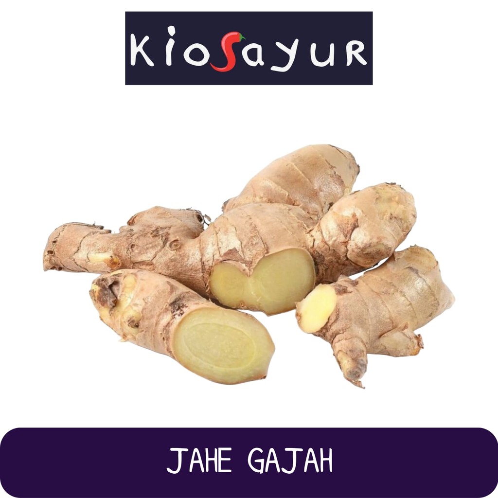 

Jahe Gajah / Jahe Putih Jumbo Kiosayur