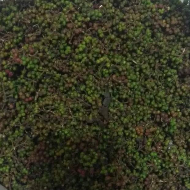 

Andaliman medan,berat 250 gram