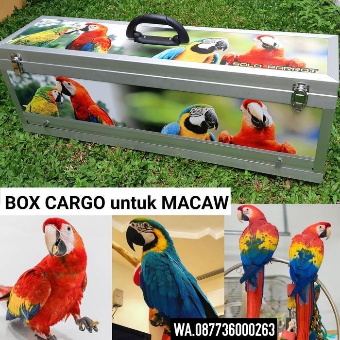 Pet Box Cargo Untuk Burung Parrot Ukuran L Original Dan Terpercaya