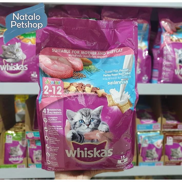 TERLARIS Whiskas Junior Ocean Fish 1.1KG / Dry Kitten Mother Baby Cat Food / Makanan Kering Kucing S