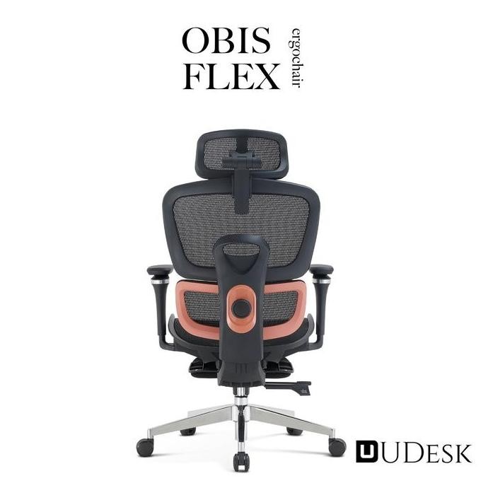 Ergonomic Chair Obis Flex - Adjustable Lumbar Support Mesh Chair with Footrest