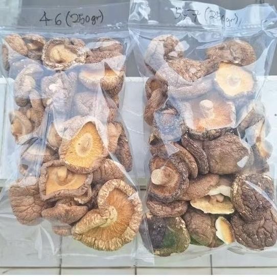 

ready Jamur Shiitake - Hiokou Mentah IKPS 500 gr ukran D 4-6 cm & 5-7 cm murah