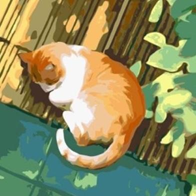 

ready paint by numbers 20x20CM kucing/cat series