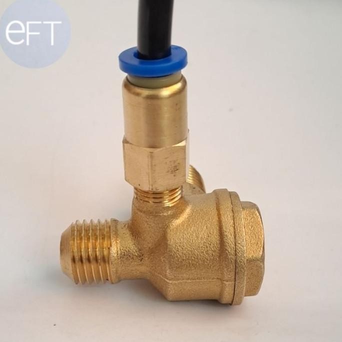 (Expert) CHECK VALVE KOMPRESOR OILESS (SET)