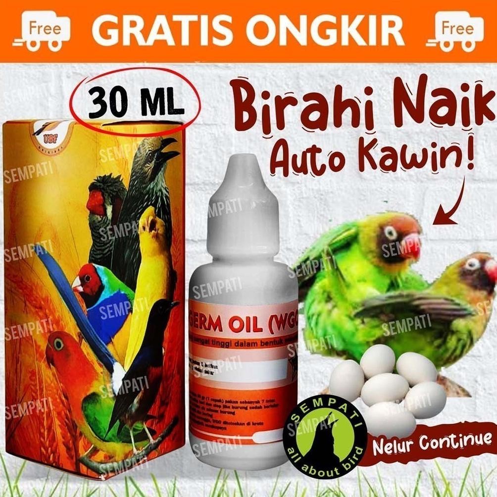 SEMPATI WGO VITAMIN TERNAK SEGALA JENIS BURUNG WGO WHEAT GERM OIL MINYAK GANDUM OAT VITAMIN TERNAK W