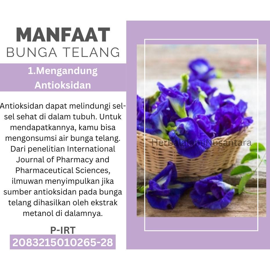 

TEH HERBAL BUNGA TELANG ALAMI 100% MURNI KEMBANG TELANG KERING BUNGA TELANG BUBUK BUNGA TELANG ORGANIK