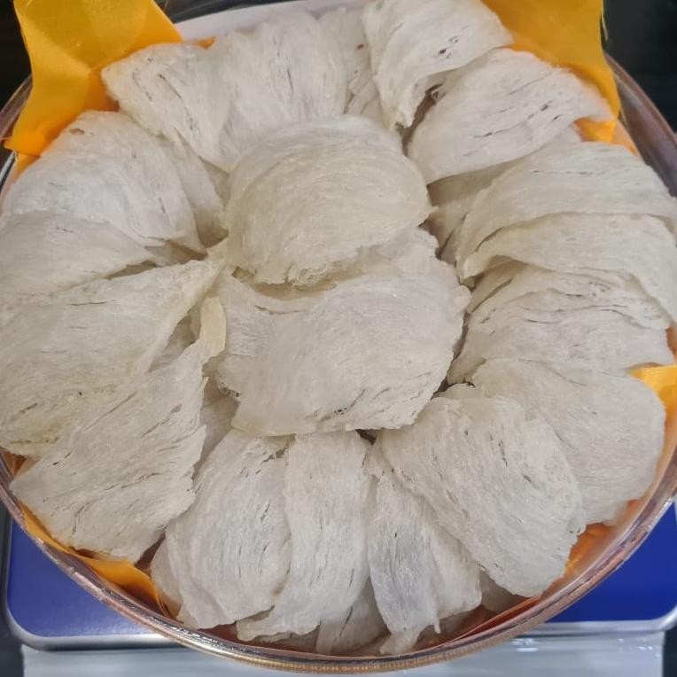 

Sarang Burung Walet Bersih Birdnest Mangkok Besar Premium Kualitas Export Natural Asli Yenwo Harga Per Gram
