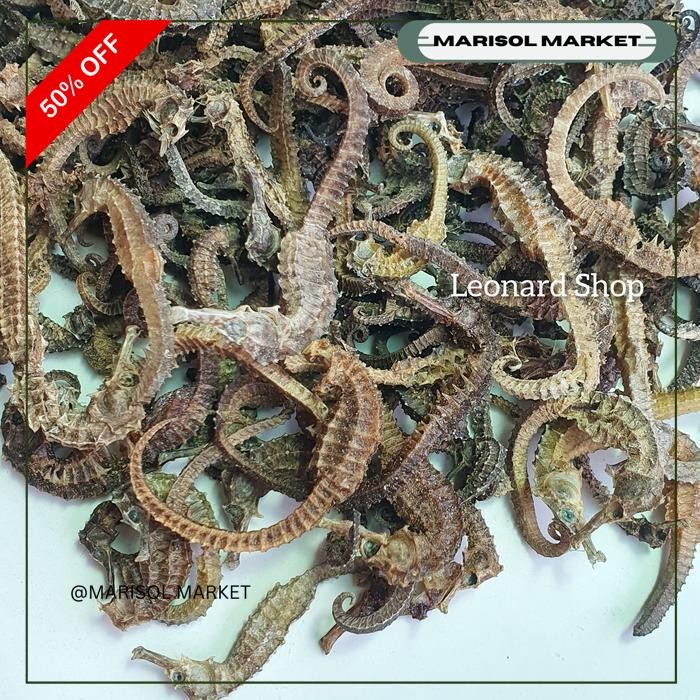 

KUDA LAUT ( BS ) 10 GRAM HAI MA KECIL KERING GRADE A HERBAL OBAT KESUBURAN PRIA WANITA / HAIMA / HAI MHA GINSENG RENDAMAN PIL KAPSUL NAGA DURI SUPER BELANG / SEAHORSE TERIPANG HAISOM SIRIP HISIT PENAMBAH STAMINA KUAT PERUT IKAN HUPIO GELEMBUNG SUBUR