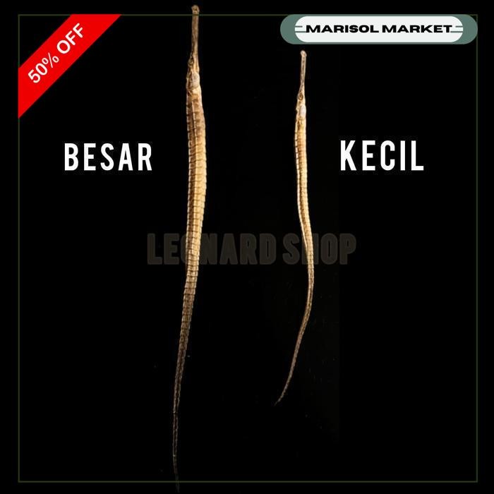 NAGA LAUT KERING HITAM SUPER HAI LONG OBAT HERBAL KUAT PRIA KUDA ELANG PROMO TERBARU