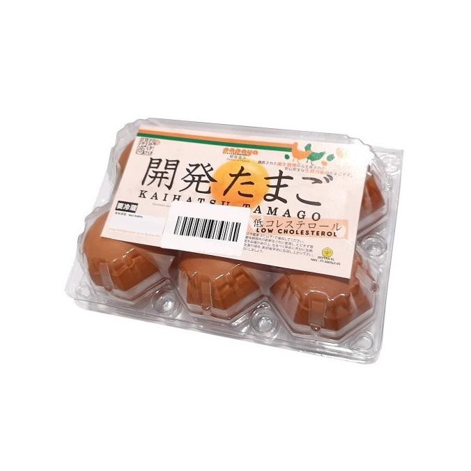 

(Expert) Kaihatsu Tamago Low Kolestrol / Telur Rendah Kolestrol / Egg Salmonella 6's Pack