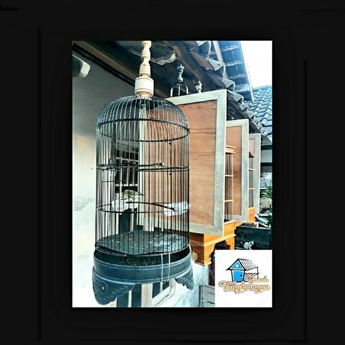 Sekat sangkar murai,sangkar kotak,sangkar kapsul lovebird dan helloped