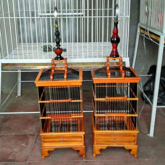 Kandang burung pleci dll kayu jati pernisan melamin mengkilap