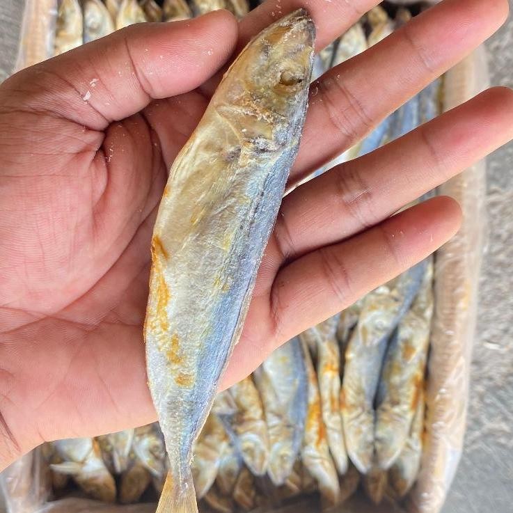 

Sdn_12 Ikan Asin Klotok Peda Layang 1Kg/Cocok Untuk Sambal Klotok/Tidak Mblenyek Be-120
