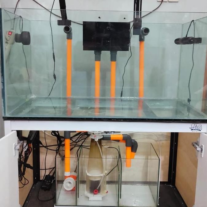 Aquarium Laut Full Set 100X50X50