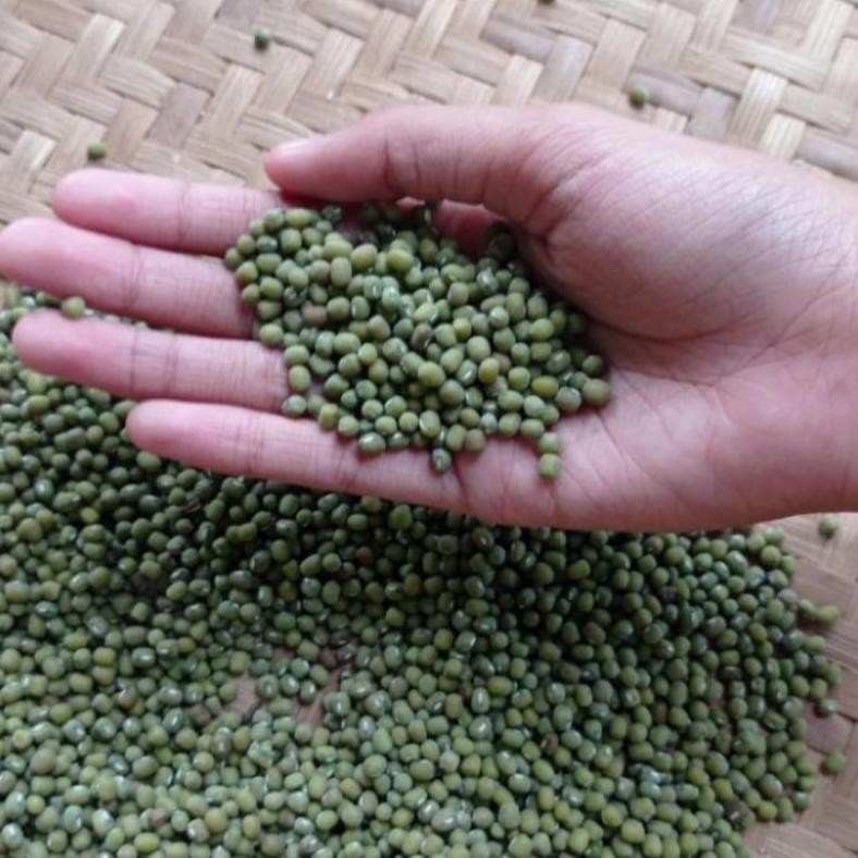 

Kacang Hijau Organik Bergizi Kaya Manfaat 1Kg RB10
