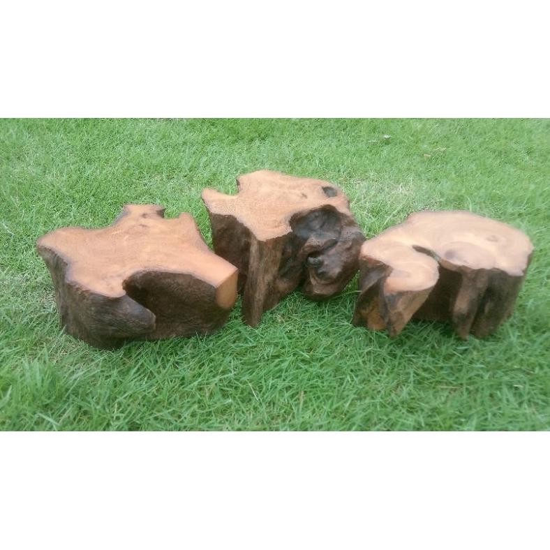 meja kecil bonsai shito, tempat angkringan kura kura AST