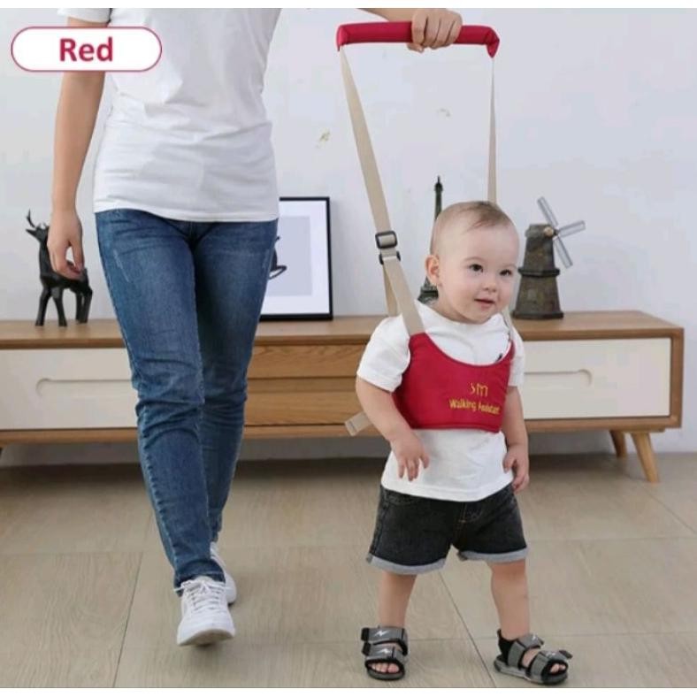 BLUETOYS ALAT BELAJAR JALAN UNTUK BAYI DAN ANAK/MAINAN ANAK & BALITA AST