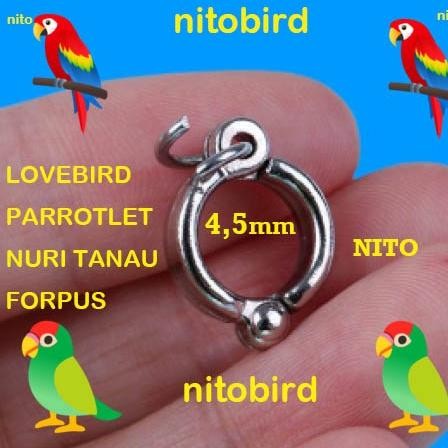 ring borgol 4,5mm lovebird parrotlet nuri tanau forpus 0,45cm kuat aman ring borgol kaki burung parr