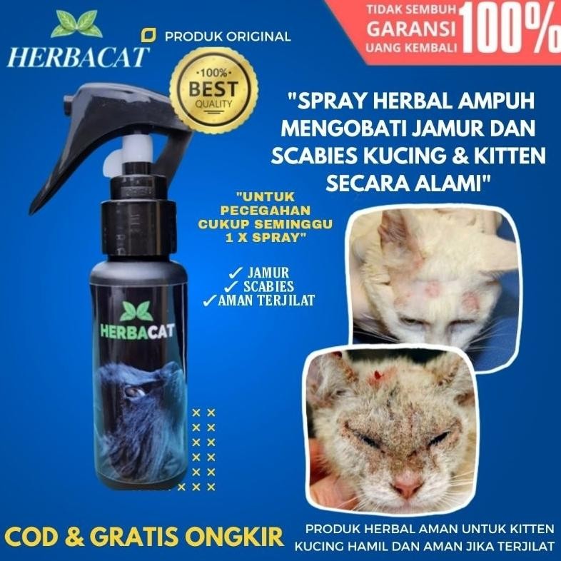 TERLARIS Spray Jamur Kucing Obat Jamur Scabies Kucing HerbaCat Alami Mengatasi dan mencegah Jamur Sc