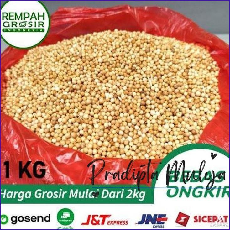 

Ready..!! Ketumbar Butir Bulgaria Super 1Kg - 1 Kg Kilo Termurah Grosir