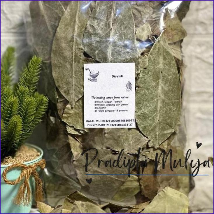

Langsung Gas.! Daun Sirsak Kering 500 Gram Grade A - Daun Sirsat