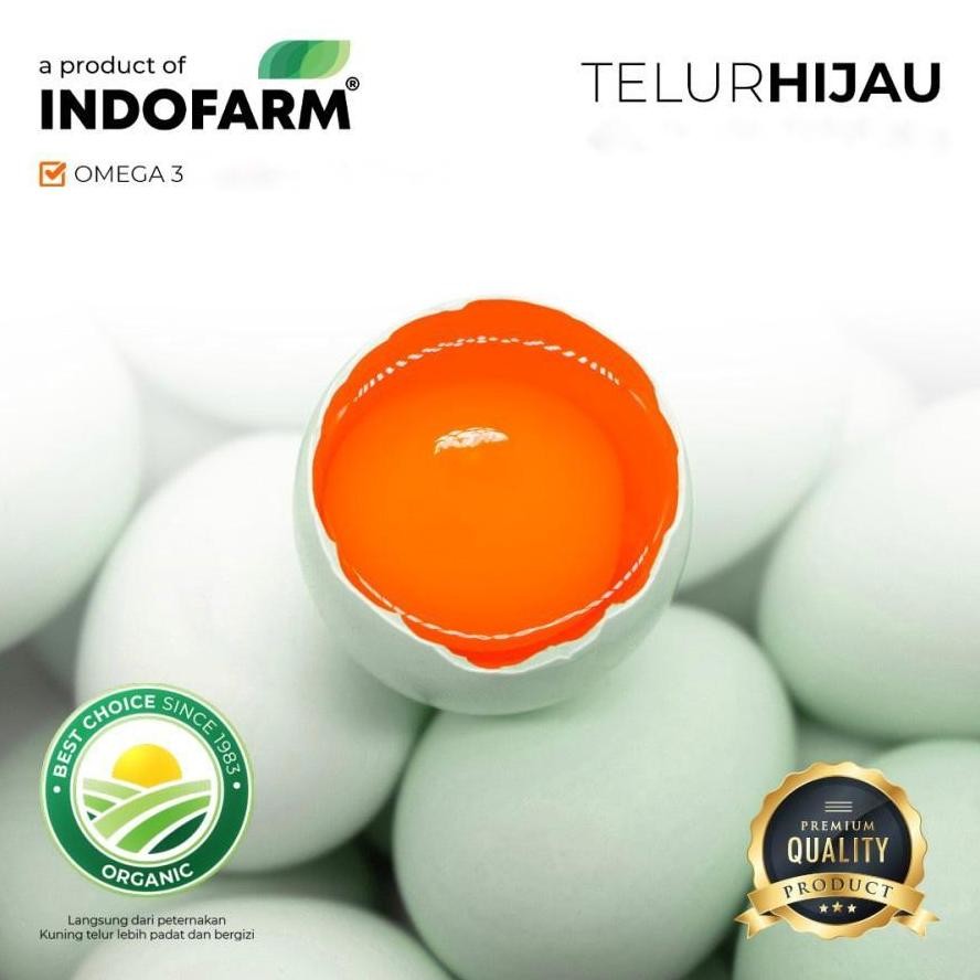 

[SUPER SALE] TELUR HIJAU DARI AYAM HITAM MINI - TELUR ORGANIC INDOFARM