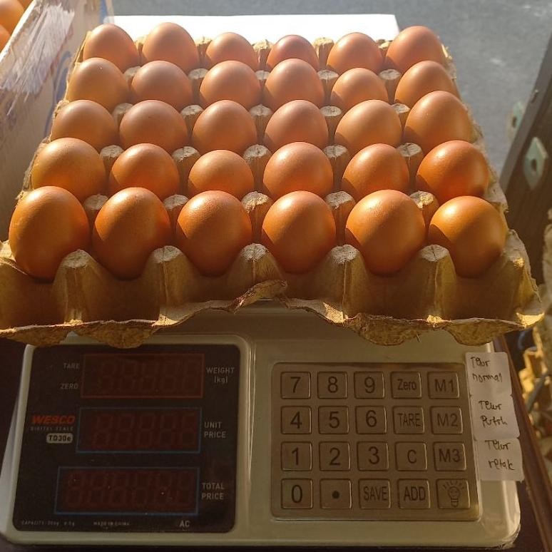 

TELUR AYAM NEGERI SUPER 30 BUTIR CANGKAK TEBAL