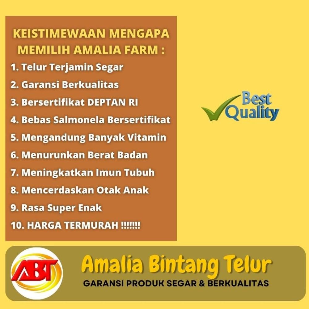 

TELUR AYAM NEGERI SUPER UKURAN KECIL ISI 20 BUTIR PER KG