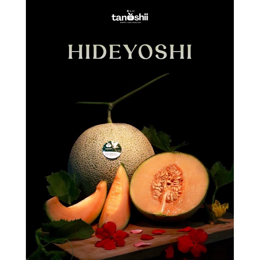 

melon premium hidroponik yang manis dan juicy