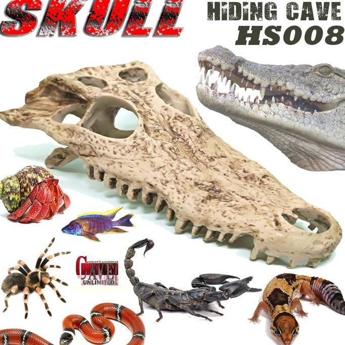 Hs008 Hidingcave Skull Crocodile Tengkorak Kepala Buaya Goa Tempat Sembunyi Hiasan Kandang Reptile  