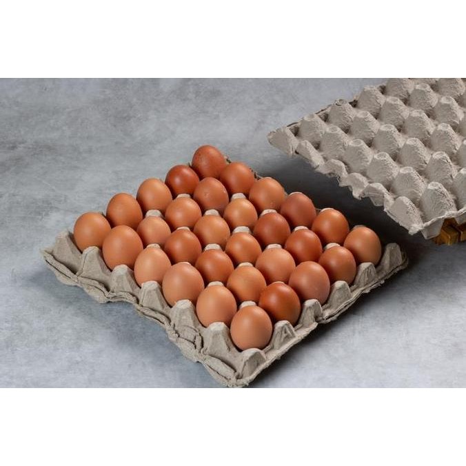 

Terlaris Telur Ayam Negeri Fresh Dari Kandang 5Kg Ready Stok