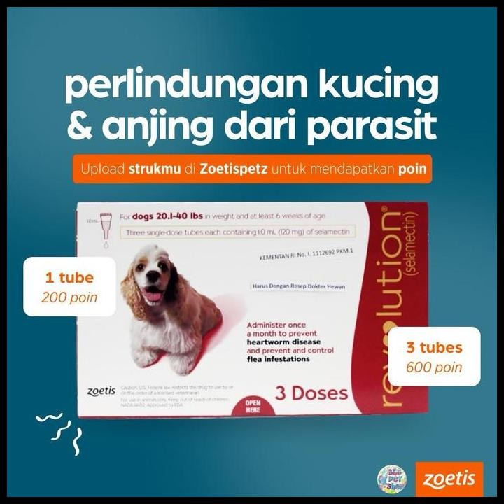 Terlaris Revolution Cat / Revolution Dog / Revolution Teal / Revolution Blue Good Quality