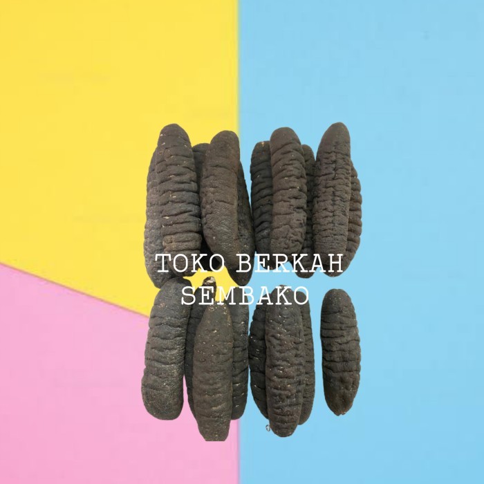 

Haisom Teripang Asli BELITUNG 250gr / Hoisem Lintah Laut Kering Gosok