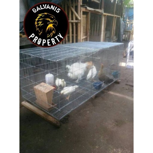TERBARU KANDANG / KURUNGAN BOX BATTRY AYAM JAGO BANGKOK BAHAN GALVANIS MURAH PROMO