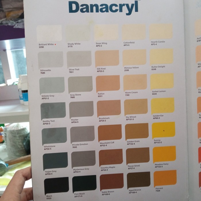 Cat Tembok Interior Danapaint Cat Danacryl 2,5Ltr