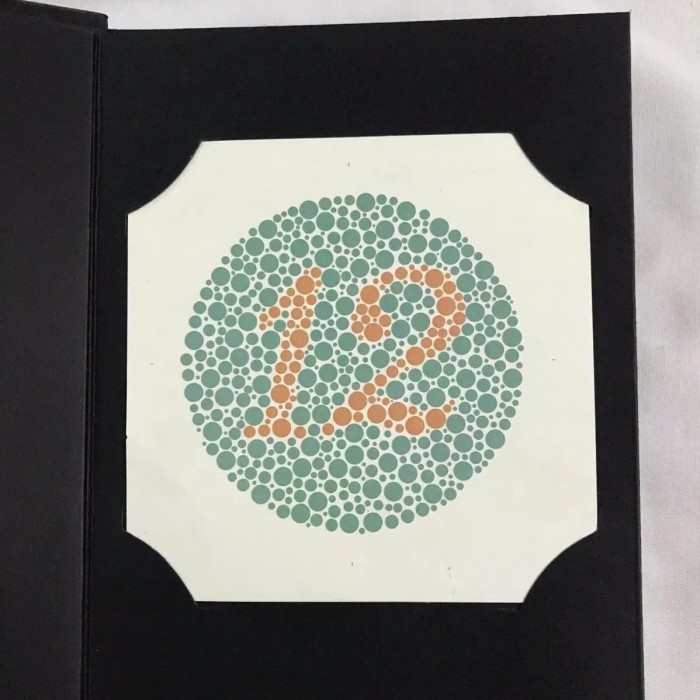 

Terbaru Buku Ishihara 38 Plate Asli Import Kanehara Alat Test Baca Buta Warna Terlaris