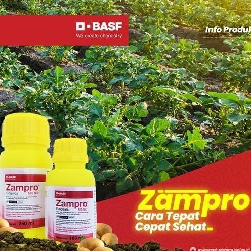 

Busuk Daun Hawar Daun Kentang - Fungisida Sistemik Zampro 250 Ml Original