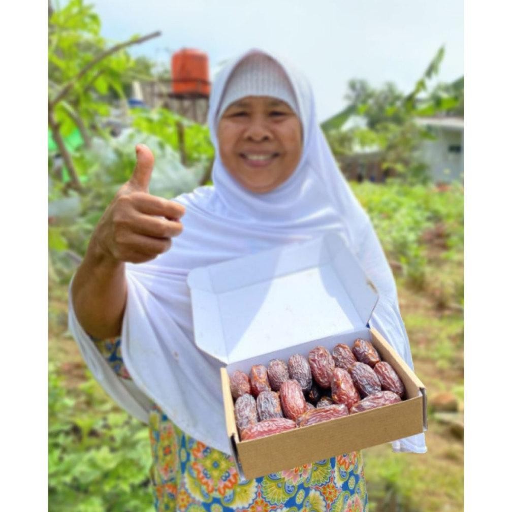 

risto- [elmaeda] kurma palestina elmaeda kurma medjool jumbo preum
