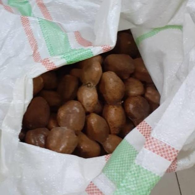 

SPIROS ZURIAT KEMBAR MESIR KILOAN 1KG PROL SEHAT ARAB OLEH-OLEH HAJI KURMA MUDA