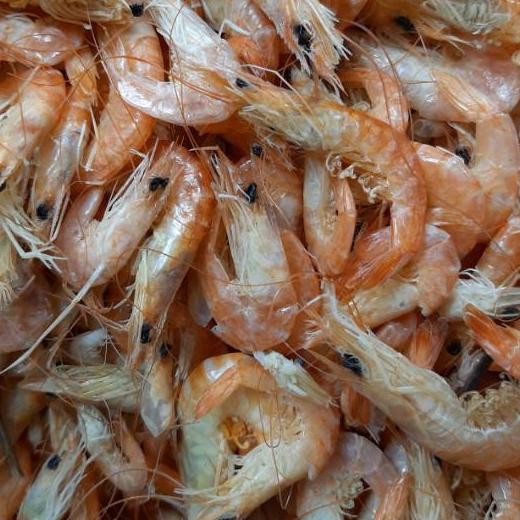 

Udang Mani Jambu Medan Merah 100 Berat 250 Gram