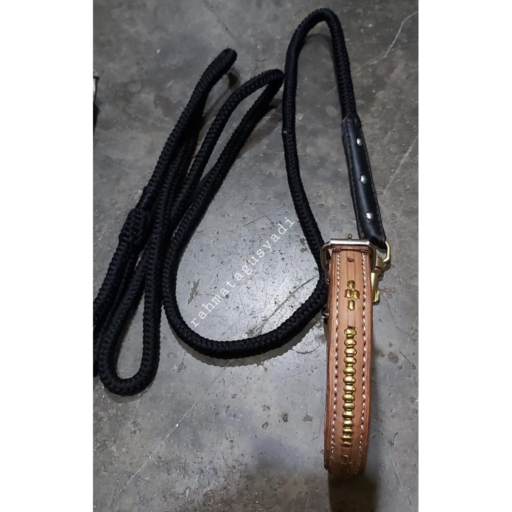 dog collar kalung dan tali tuntun anjing berburu asli kulit baris satu