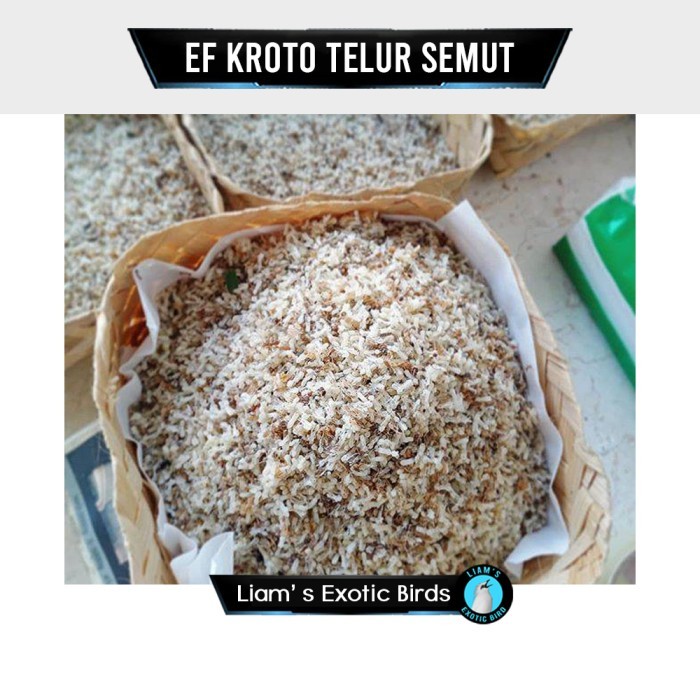 Kroto Telur Semut Pakan Tambahan Burung