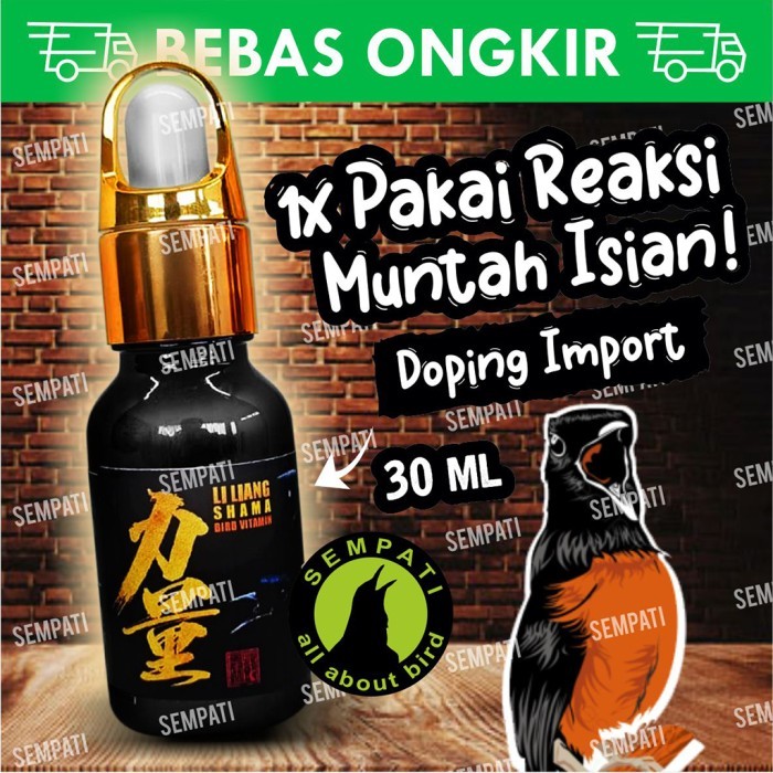 Vitamin obat macet burung murai batu china herbal li liang shama bird