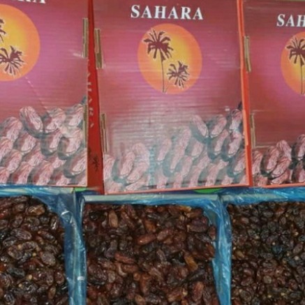 

kurma iran sahara 10kg