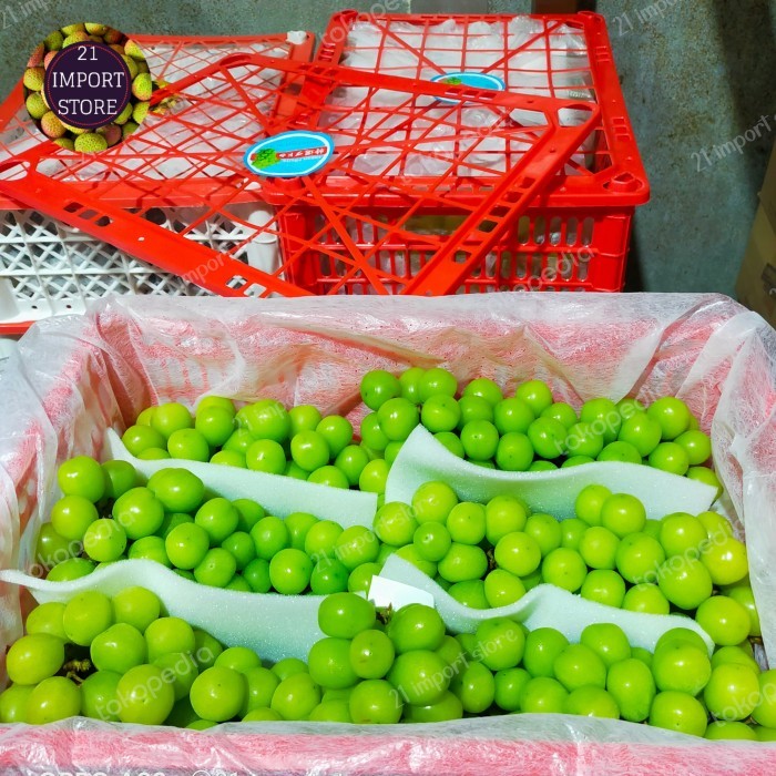 Anggur Shine Muscat Curah Buah Anggur Shine Muscat 1 Box