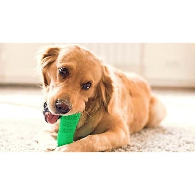 Mainan Pembersih Karang Gigi Anjing Size L / Mainan Anjing