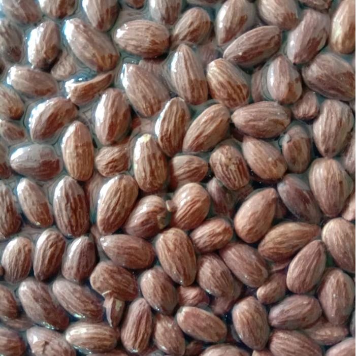 

BARANG TERLARIS kacang almond panggang rostoad